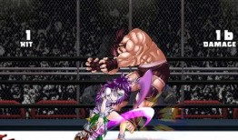 忍战樱爆料视频完整版,独家完整版内容深度解析